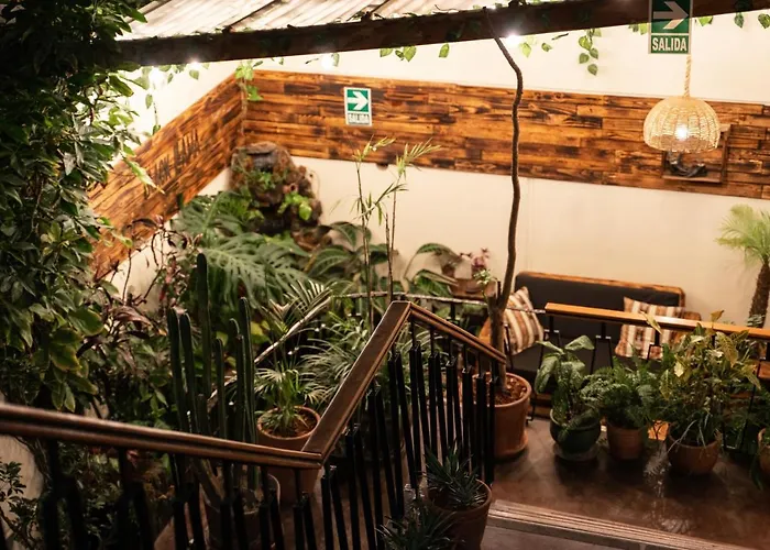 Black Llama Hostel Miraflores Lima