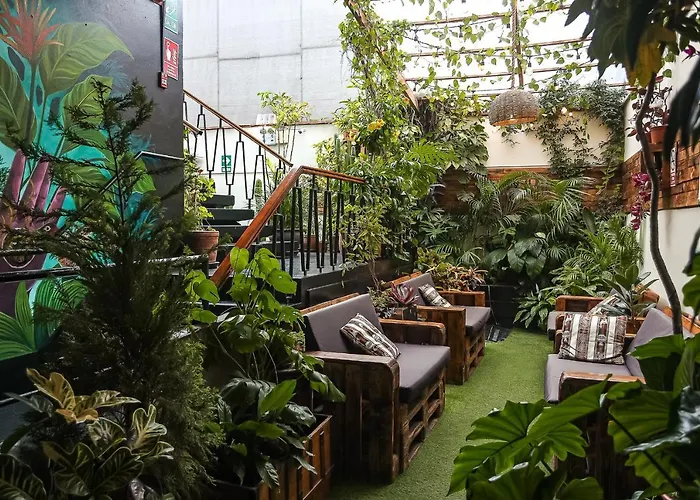 Black Llama Hostel Miraflores Lima